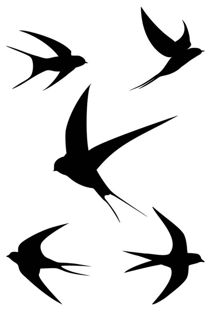 Flying tragar aves silueta ilustraciones, aislado en blanco. El archivo ZIP contiene formatos EPS, JPEG y PNG - Vector, Imagen