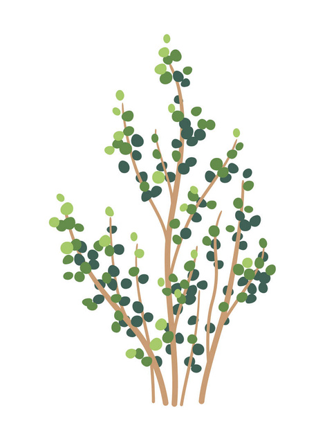 Simple bush with green leaves isolated on white background. Abstract deciduous forest plant. Simplified vector illustration in flat style. - Vector, afbeelding