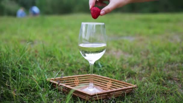 Vrouwelijke hand zet aardbeien op een glas champagne of wijn op picknick op groen gras. - Video
