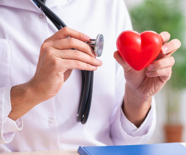 El médico cardiólogo masculino sosteniendo el modelo de corazón - Foto, imagen