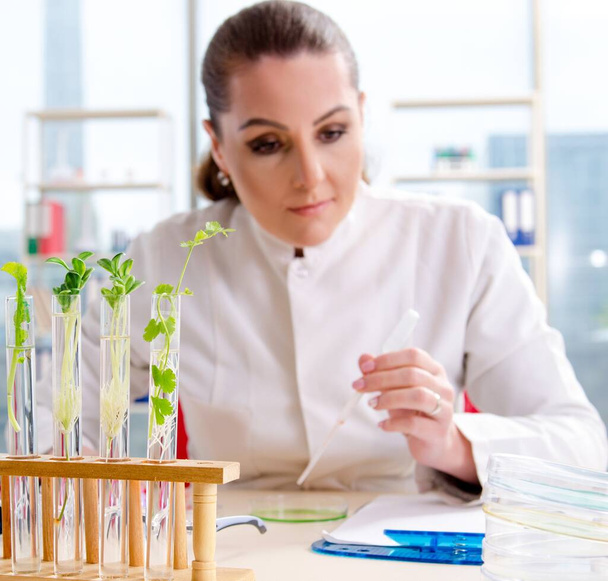 A női biotechnológiai kutató vegyész, aki a laborban dolgozik - Fotó, kép