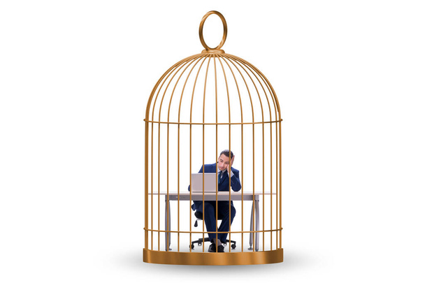 Бизнесмен пойман в клетку в бизнес-концепции - Фото, изображение