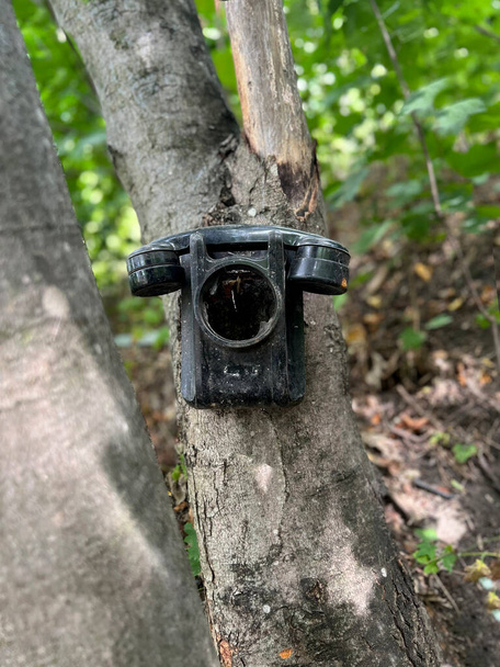 Negro viejo teléfono giratorio colgando en el árbol, broma - Foto, imagen