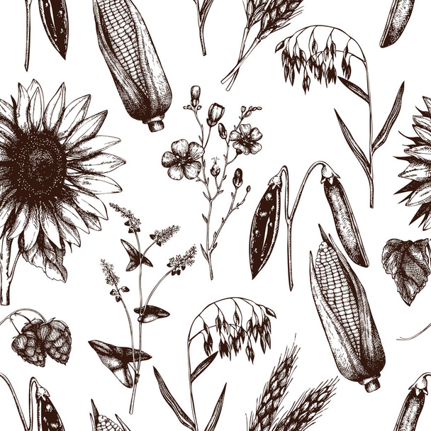 Seamless pattern with agriculture plants - Wektor, obraz