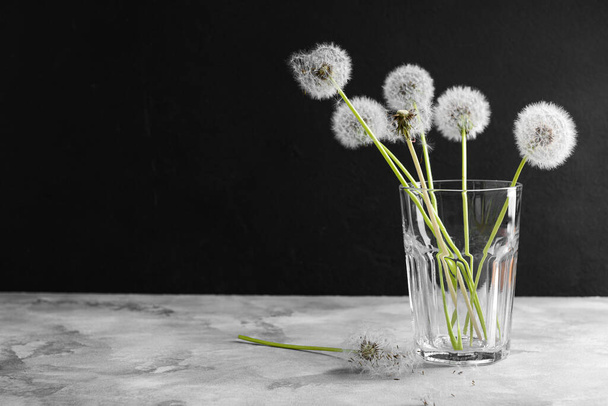 Glass with white dandelion flowers on table against dark background - Photo, image