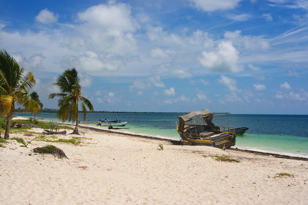 Tropikalnej plaży odrobina palmy kokosowe i fishermans łodzi - Zdjęcie, obraz