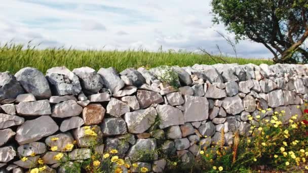Muro a secco in pietra in una strada di campagna. - Filmati, video