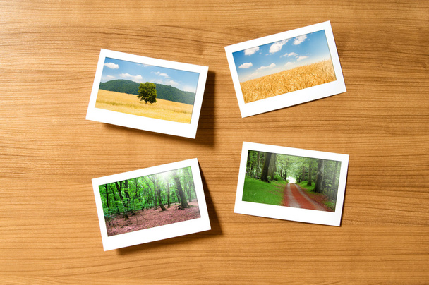 Picture frames with nature photos - Photo, Image