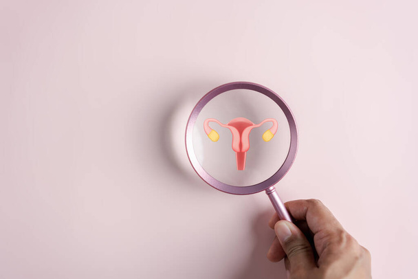 Checkup uterus reproductive system , women's health, PCOS, ovary cancer treatment and examine, Healthy feminine concept. - Fotografie, Obrázek