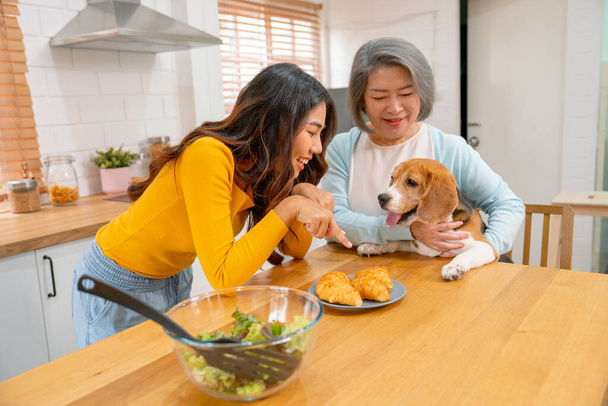 Genç Asyalı kadın, masada kruvasan ekmeği yemeye çalışan av köpeğiyle ve mutfakta gülümseyen yaşlı kadının köpeğiyle eğleniyor.. - Fotoğraf, Görsel