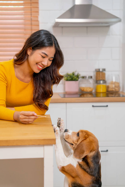 Вертикальный образ молодой азиатской девушки дать собаке конфеты и поиграть с ее собакой, которые пытаются стоять и есть конфеты на кухне. - Фото, изображение