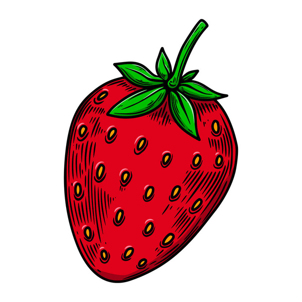 Illustration of strawberry in engraving style. Design element for poster, card, banner, sign. Vector illustration - Vector, Imagen