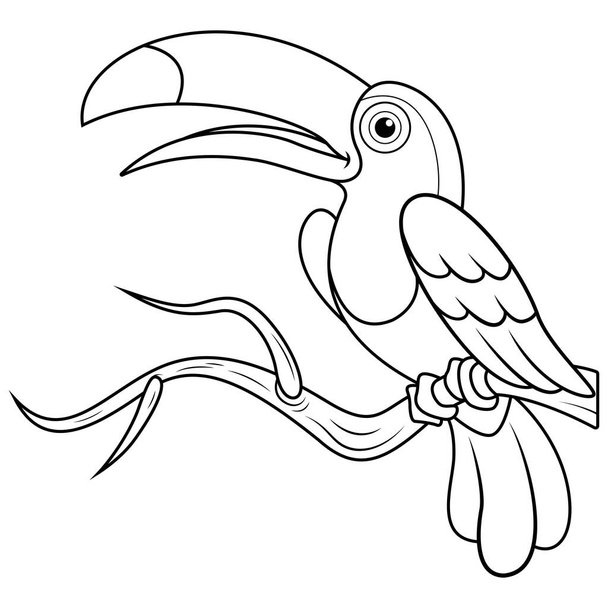 Toucans bird cartoon line art - Vector, Image
