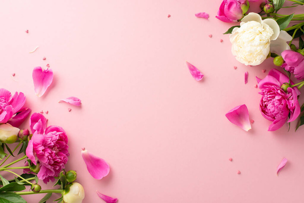 Tender bouquet concept. Above view photo of blank space with bright pink and white peony flowers,petals and buds with small confetti hearts on isolated pastel pink background with copy-space - 写真・画像