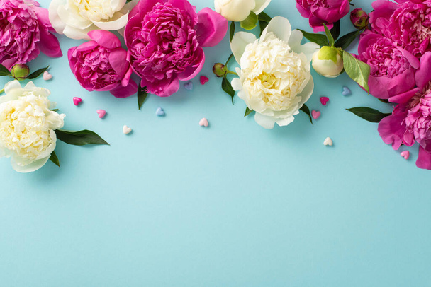 Φρέσκα λουλούδια παιώνιας έννοιας. Πάνω άποψη φωτογραφία του ματζέντα και λευκό παιώνιος λουλούδια, μπουμπούκια και πέταλα με καρδιές κομφετί σε απομονωμένο γαλάζιο φόντο με αντίγραφο-χώρο - Φωτογραφία, εικόνα