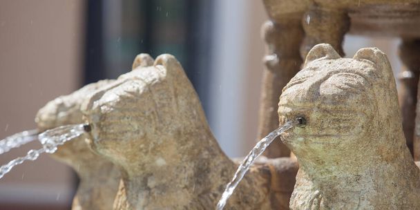 Replika fontanny Alhambra Lions w Monterrubio de la Serena, Badajoz, Hiszpania.  - Zdjęcie, obraz
