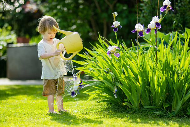 Cute blond little toddler watering plants using watering pot outdoors in the garden. Kid helping parents with gardening in the backyard in bright sunny summer day. - Foto, Bild