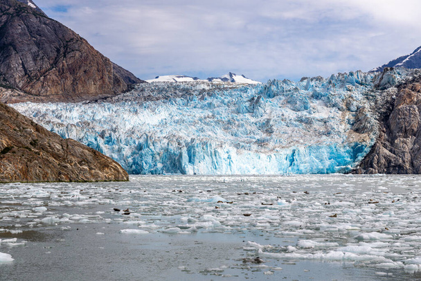 アラスカ州ジュノー近くのサウスソーヤー氷河はトレーシー・アーム・フィヨルド内にある。. - 写真・画像