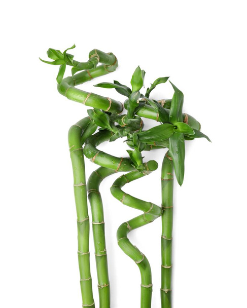 Beautiful green bamboo stems with leaves on white background, top view - Φωτογραφία, εικόνα