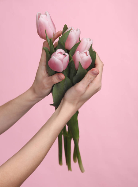 Female hands holding bouquet of pink tulips on pink background - Фото, изображение