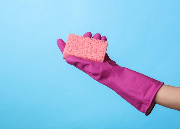 Hand in purple rubber cleaning glove holding sponge on blue background. House cleaning and housekeeping concept - Foto, Imagem