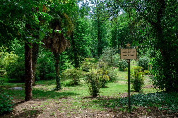 adrid junio 2023. "Paseo de los mosquitos" en los Jardines del Campo del Moro - Foto, Imagen