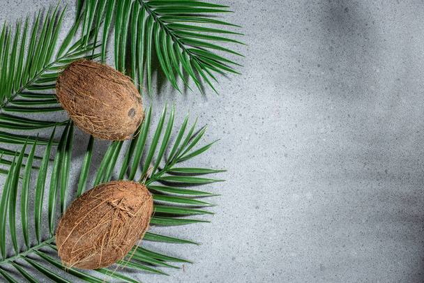 nature background tropical leaves coconut, summer background, place for text, top view, - Foto, Imagen
