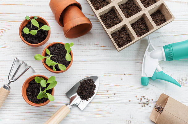 Gartenkonzept, Pflanzung zu Hause. Set von Gartengeräten und Zubehör für die Aussaat von Samen - Foto, Bild