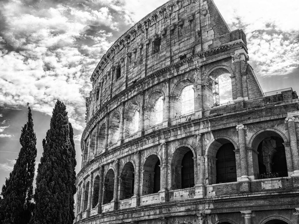 View of the Coliseum of Rome in black and white - Foto, afbeelding