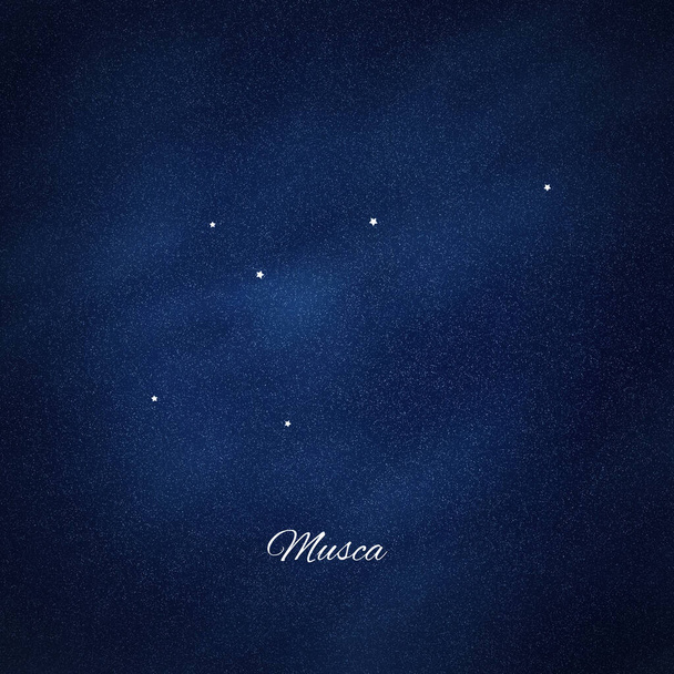 Musca constellation, Cluster of stars, Fly constellation - 写真・画像