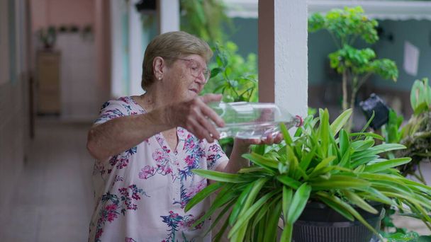 Elderly Woman watering plant with bottle of water at home backyard. Candid genuine senior person daily routine - Photo, Image