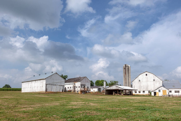 farm house with field and silo in beautiful landscape - Фото, зображення