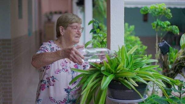 Oudere vrouw besproeiing plant met fles water thuis achtertuin. Candid echte senior persoon dagelijkse routine - Foto, afbeelding