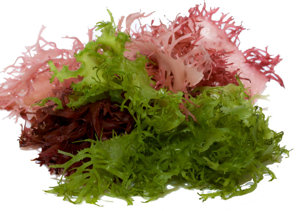 Water-plants salad - Photo, Image