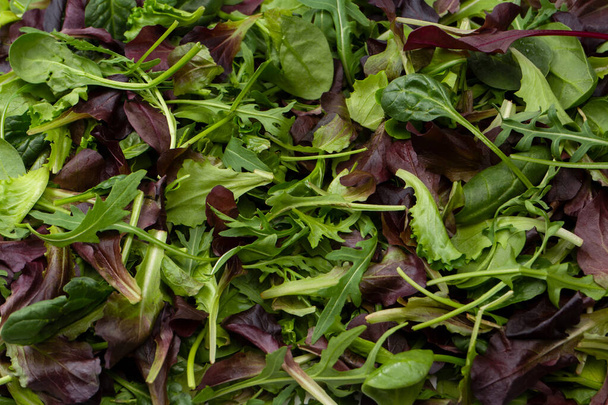 Mix of fresh salad as a background. Top view.  - Foto, immagini