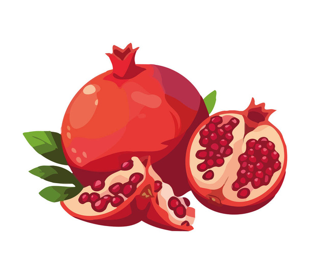 Juicy pomegranate slice, fresh and organic fruit icon isolated - Vektör, Görsel