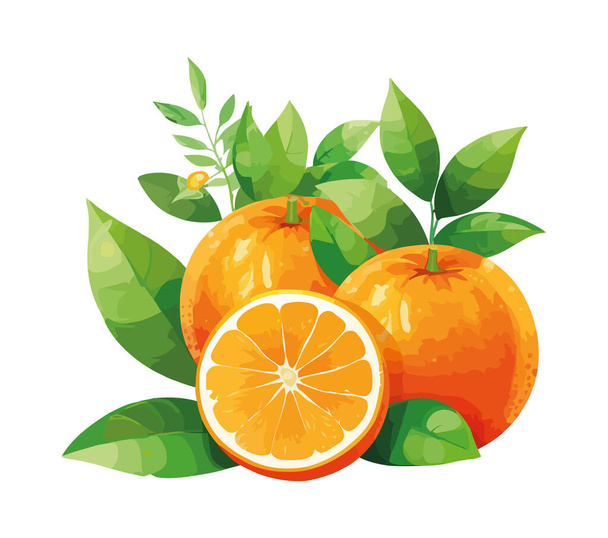 Fresh citrus fruits, ripe and juicy isolated icon - Вектор,изображение