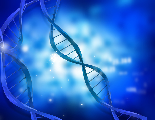 DNA-rakenne
 - Valokuva, kuva