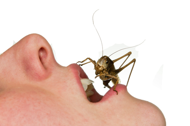 bug dans la bouche
 - Photo, image