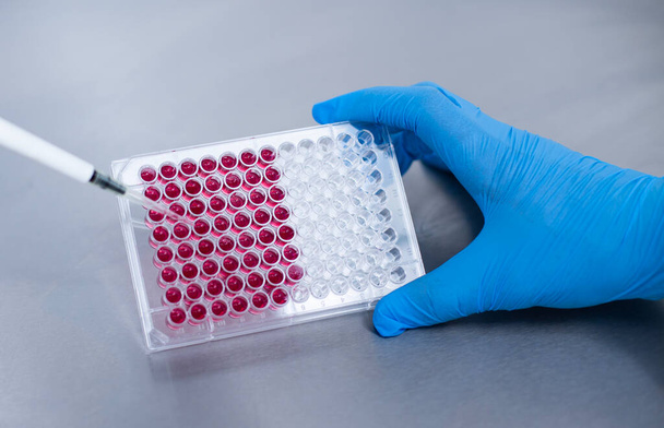 cultivo celular en el laboratorio de cultivo celular medicina y medicina  - Foto, imagen