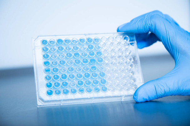 hodowla komórek w laboratorium hodowli komórkowej medycyny i medycyny  - Zdjęcie, obraz