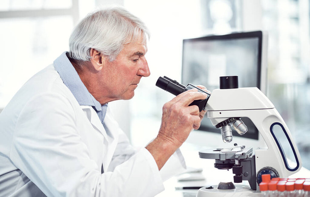 Ça fait des années qu'il fait ça. un homme scientifique âgé concentré regardant à travers un microscope tout en étant assis à l'intérieur d'un laboratoire - Photo, image