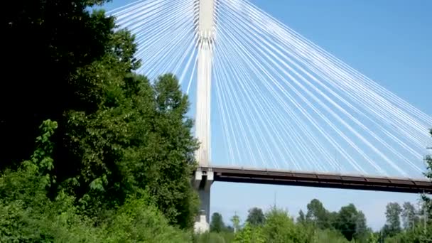 Port Mann bridge Canada over Fraser River in BC interesting unusual footage of bridge from bottom up beautiful white cables stretched support mighty strong bridge green trees railroad Earth on siphon - Footage, Video