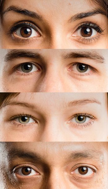 Retrato, ojos y diversidad de personas para optometría, forma de cejas o diferencia de pestañas. Zoom facial, collage y diverso grupo de pacientes optometristas que muestran color de ojos, pupilas y mirada óptica. - Foto, imagen