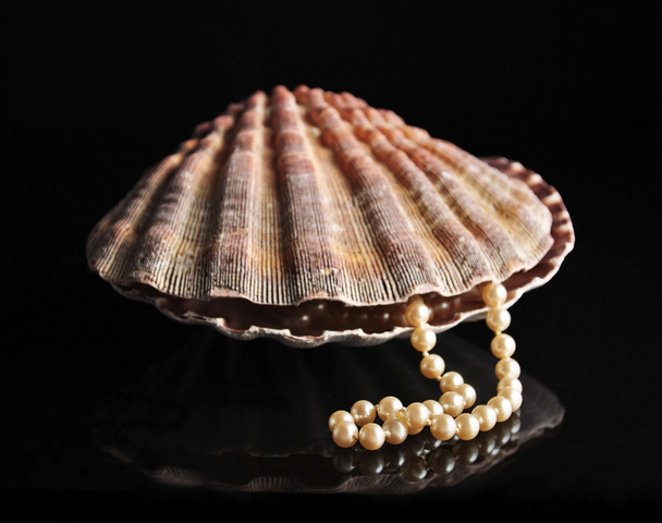 Pearls inside the shell - Photo, Image