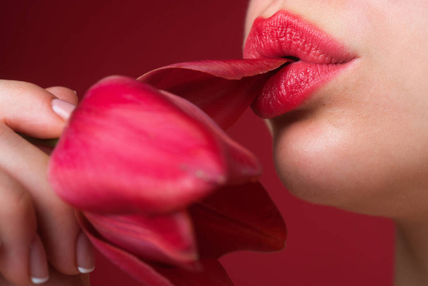 Plump sensual lips. lips with tulip flower. Sensual woman mouth, macro lip. Close up sensual red lips with pink rose flower. Sexy lipstick. Sensual mouth macro. Sensuality touch - Foto, Imagen