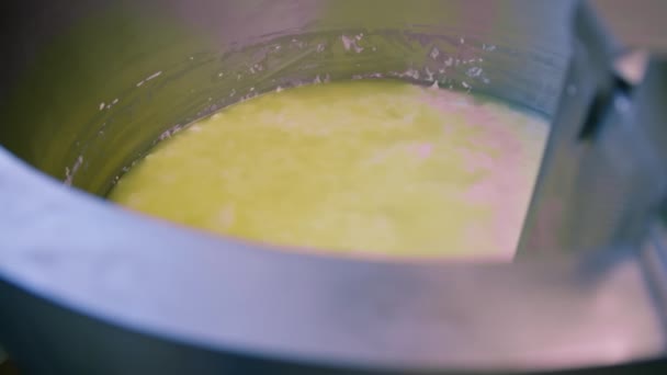 productie van zachte kaas Kaasstukken worden geweekt in pekel in kaas fabriek container - Video