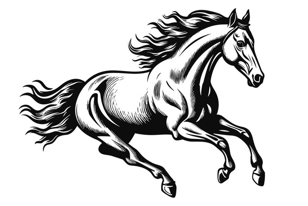 Wild running horse sketch, black line art style vector illustration isolated on white background. - Vector, Image