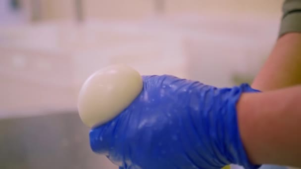 výroba mléčných sýrů sýrař odstraňuje bílou mozzarellu z kovové nádoby s rukama mačká nafukovací kouli - Záběry, video