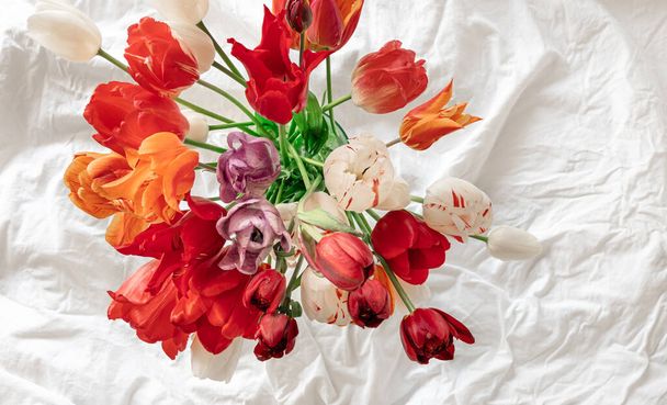 Voorjaarsachtergrond met een boeket rode tulpen in een wit bed, bovenaanzicht. - Foto, afbeelding